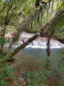 Área Com Nascentes e Cachoeiras